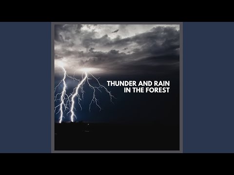 Thunder and Rain in the Forest (Pt. 50)