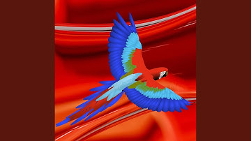 High-class Ambience for Mystical Creativity