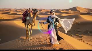 Download Lagu DJ Gimi-O x Ricky Rich x Dardan – Habibi | Albanian Arabic Balkan Remix MP3