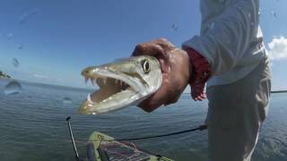 Find Your Water Season 1 Episode 5 Blue Collar Salt