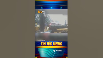 Người đi xe con lấy 2 con cá lăng giá 4,7 triệu đồng rơi từ xe đã đền tiền #news #tintuc #shorts