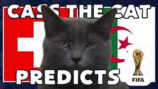 Switzerland vs Algeria | 2026 FIFA World Cup Round of 32 | Cass the Cat 🐾 Prediction
