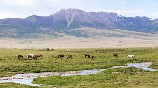 5 Reasons You Must Visit Kyrgyzstan -  kyrgyzstan tourism -  travel channel