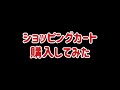 ショッピングカート(キャリーカート)を購入してみた