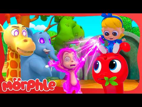 Animal Hypno Takeover The Zoo 🦖 Morphle Dinosaurs 🦕 Cartoons for Kids | Cartoon Compilation