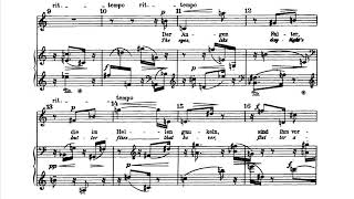 Anton Webern - 3 Songs on Poems by Hildegard Jone (Op. 25) [Score Video]