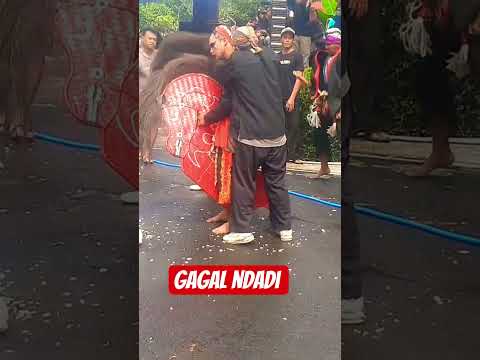 gagal ndadi #shorts #jaranan #ndadi