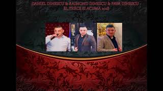 Daniel Dinescu Pava Dinescu & Raimond Dinescu El Trece Si Acuma 2018