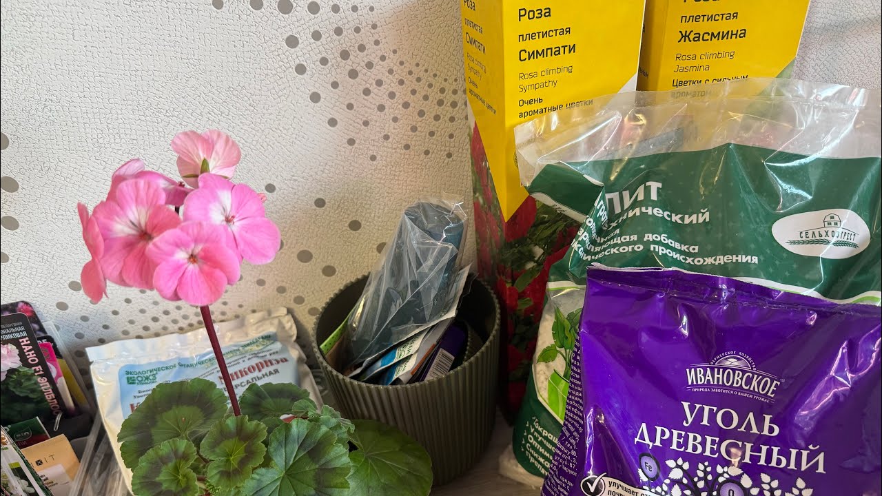 21.02.26 в Лемана про и вб огородные покупки! Пора сеять!