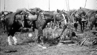 British troops in France take break, dig trench and take cover during World War I...HD Stock Footage