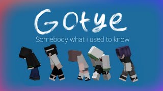 Gotye - Somebody What I Used To Know [Minecraft]