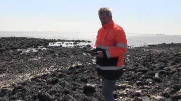 Waterschap Scheldestromen - digitaal inspecteren met apps