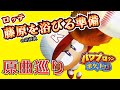 藤原に合う準備 【パワポケ13】