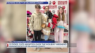 33 Delaware shelter pets receive new homes for New Year