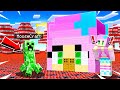 10 Ways to PRANK LITTLE SISTER&#39;s Minecraft House!