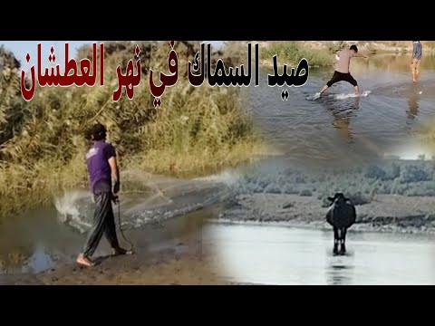 شاهد جفاف نهر العطشان