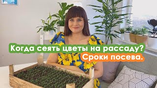 Когда сеять цветы на рассаду? Сроки посева.