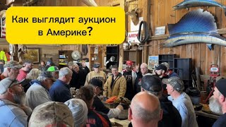 ПОПАЛИ НА АУКЦИОН В АМЕРИКЕ. ЧТО ПРОДАЮТ АМЕРИКАНЦЫ У НАС В СЕЛЕ?