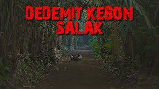 Download Lagu MISTERI PENGHUNI KEBON SALAK ANGKER YANG ADA DI DAERAH JAWAAAAAAAAAAAAA !!!! MP3 Download Lagu MISTERI PENGHUNI KEBON SALAK ANGKER YANG ADA DI DAERAH JAWAAAAAAAAAAAAA !!!! MP3