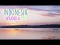 EXPLORANDO LA SELVA EN BUSCA DE ORANGUTANES | INDONESIA VLOG 6