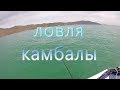 Ловля камбалы тавайза  большой камень приморский край 2019