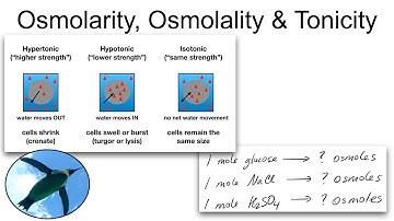 Osmolarity, Osmolality and Tonicity | Chemistry Basics 🐧