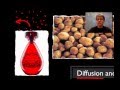 Diffusion And Osmosis: Exploring Molecular Movement Through Experiments