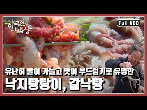 [한국인의밥상★풀버전] 생명들이 움트기 시작한 무안 🐙🦪황토갯벌, 너를 참 오래도록 기다렸다! “갯벌, 너를 기다렸다 - 무안 황토갯벌 밥상” (KBS 20160310 방송)