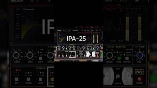 Three Circuit Topologies, One Plugin - IPA 25 Video