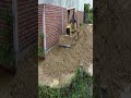 #bulldozer #bulldozerofficial #excavator #bulldozer