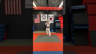 One step sparring techniques feet 11-15