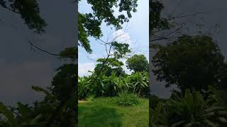 QUALITY :- 4K_120FPS...DEVICE:- S 25 Ultra.. #foryou