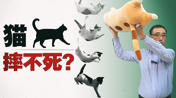 猫有九条命？高处落下为啥不容易受伤？李永乐老师讲落猫问题 - 天天要闻