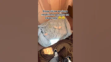 коли після весілля переїхала до ного на квартиру село коміки шортс ржакадосліз 