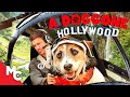 A Doggone Hollywood | 2017 Family Adventure