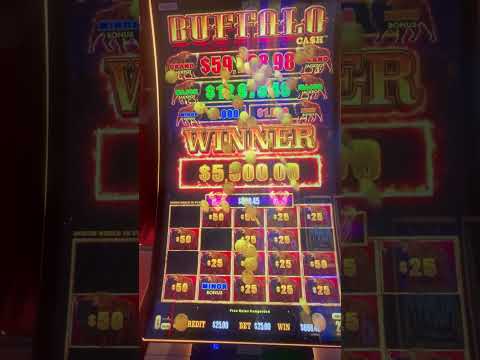 $620,000 💸 Por un CASINO en tu BRAZO