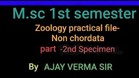 M.sc 1st sem zoology practical file part -2