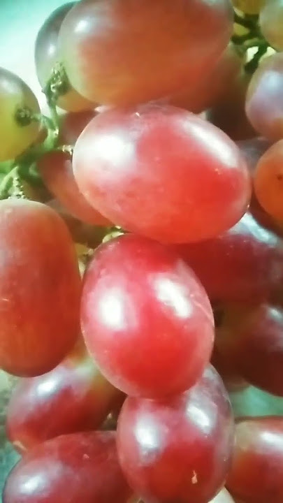 Fresh 🍇🍇 love this and you'll love it too #highlights #nocopyrightmusic #fruits #viralshort