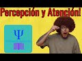 relacion entre atencion y percepcion