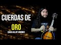 ¡CUERDAS DE ORO! | Gold Alloy Wound | En Mandolina