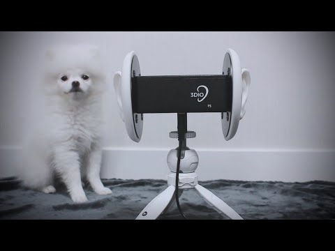 ASMR이 될 뻔했던 영상 (feat.까꿍) | 이팅 사운드 |