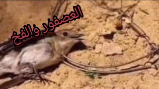 قصة وعبرة : 