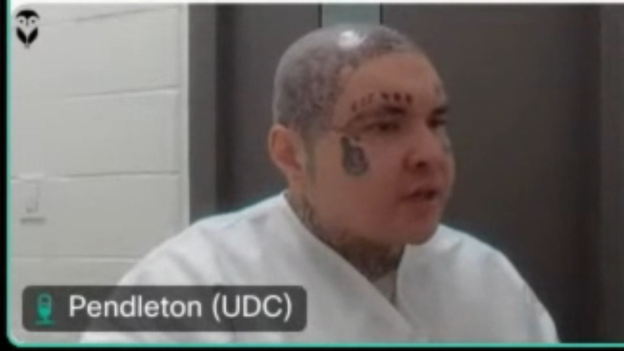 THE MINNESOTA SLASHER: 15-Year-Old Butcher Returns with a Face Full of Tattoos