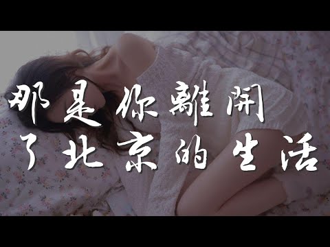 那是你離開了北京的生活 - 薛之謙『那是你離開了北京的生活』【動態歌詞Lyrics】