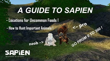 A Guide to Sapien | Sapien Roblox