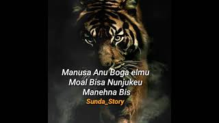 Download Lagu STORY WA Macan 🔥simpel 30 detik MP3