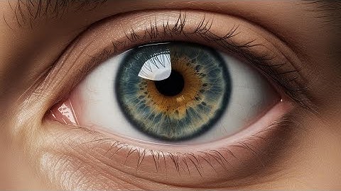 Human Eye/ Complex Creation of God