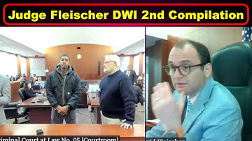 DWI 2nd Compilation   Judge David Fleischer - Vikky