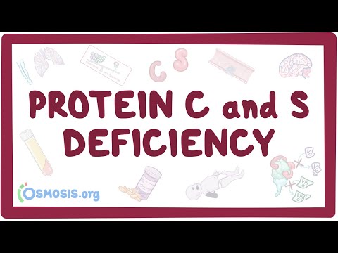 Protein C and S deficiency - causes, symptoms, diagnosis, treatment, pathology