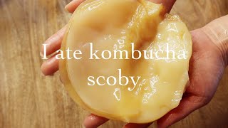 I tried to eat kombucha scoby 腸活！コンブチャ紅茶キノコ株を食べてみた〜